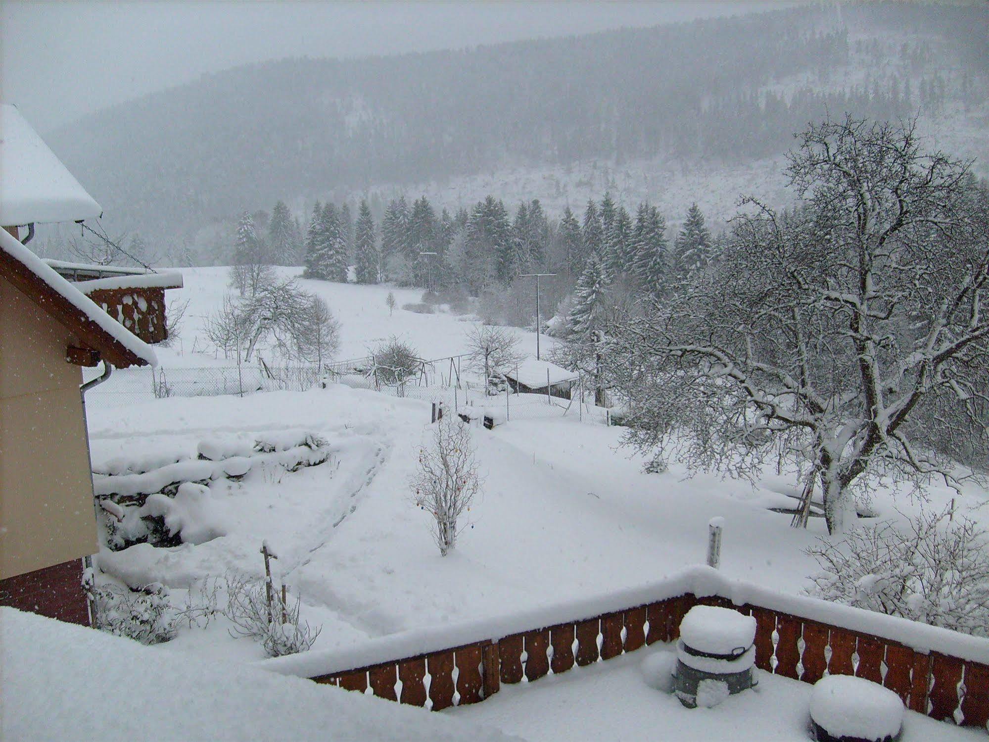 Hotel Schwarzwald-gasthof Hirsch